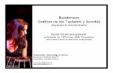 Bandoneon Keyboard 142 AA