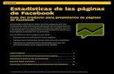Nuevas Estadisticas de Facebook - La Guia Oficial de Facebook en Castellano - Noviembre 2011