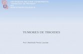 Presentacion de Tumores de Tiroides