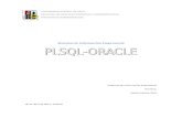 laboratorio de PLSQL-ORACLE