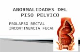 12 A Normal Ida Des DEL PISO PELVICO- Prolapso Rectal e cia Fecal- Zoraida L.
