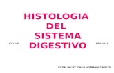 Histologia de Boca Esofago y Estomago 2011