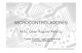 Microcontroladores  3ra Parte