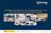 Análisis sectorial de implantación de  las TIC en la pyme española