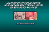 Patologia benigna anorrectal