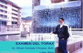 Examen Del Torax
