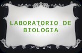 LABORATORIO DE BIOLOGIA.pptx TRABAJO.laboratorios.pptx