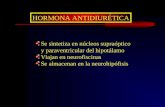 8. Hormona Anti Diuretic A. Diabetes Insipida