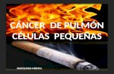CANCER DE PULMON CELULAS NO PEQUEÑAS 4