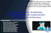 Diapositivas Inmunología Grisel