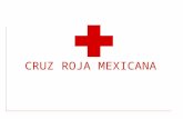 Acciones 6 Normal Cruz Roja Mexicana