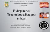 Purpura Trombocitopenica JHB