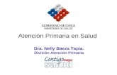 Salud Familiar Atencion Enfermedades Respiratorias-Chile-Nelly Baeza