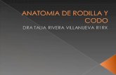 Anatomia de Rodilla y Codo