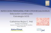 Citomegalovirus Infeccion Perinatal 2012