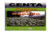 2003. CENTA. Guía Técnica del Cultivo de Repollo