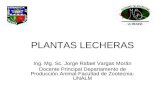 PLANTAS LECHERAS