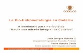 Bio-Hidrometalurgia en Codelco