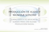 PRODUCCIÓN DE AUDIO Y MONTAJE SONORO