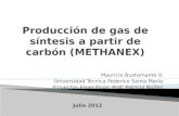 Producción de gas de síntesis a partir de carbón (METHANEX) (1)