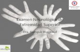 Examen Neurológico de Extremidad Superior