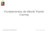 13-Principios de Block Caving