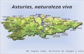 Asturiasnaturalezaviva 24 10 07  An