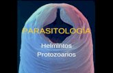 Primer práctico de parasitología - Helmintos y protozoarios.ppt