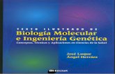 Biología Molecular e Ingeniería Genética - Luque