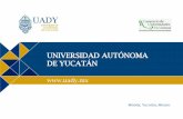 Presentación Universidad Autónoma de Yucatán