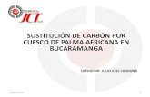 Sustitucion Carbon Cuesco Palma