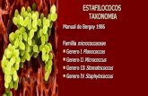 Diapositivas de Estafilococos
