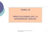 Tema 13 prestaciones seguridad social