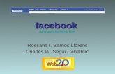 Redes De Interacción Social (Facebook) Módulo