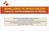 LOS SEMILLEROS DE INVESTIGACION Y LAS REDES-10-2007-