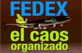 Fedex el caos organizado