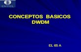 Conceptos basicos DWDM