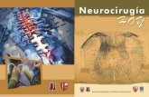 Neurocirugía Hoy, Vol. 4, Numero 15