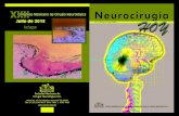 Neurocirugía Hoy, Vol. 3, Numero 12