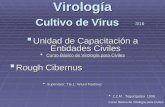 Virologia Cultivo de Virus 3/16