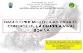Diarrea Viral Bovina. Bases Epidemiologicas para su Control.