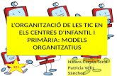Tema 23. L'organització de les tic en els centres d'infantil i primària models organitzatius.