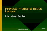 Presentaci³n Proyecto Programa Estr©s Laboral
