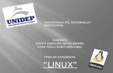 Exposision linux