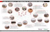 Infografía: Lomas de Carabayllo y sus principales problemas de contaminación ambiental