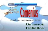 Comenius 2008-2010