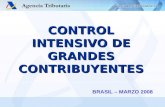 Control Intensivo de Grandes Contribuyentes - España