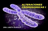 cromosomicas I VI sem 2009