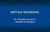 P2 - 02 - Asfixia Neonatal - Dr. Jaccard