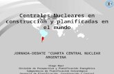 “Centrales Nucleares en Construcción y Planificadas en el Mundo”- Diego Maur
